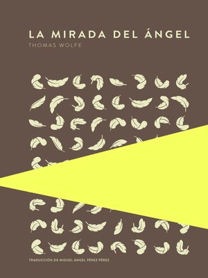cover image of La mirada del ángel